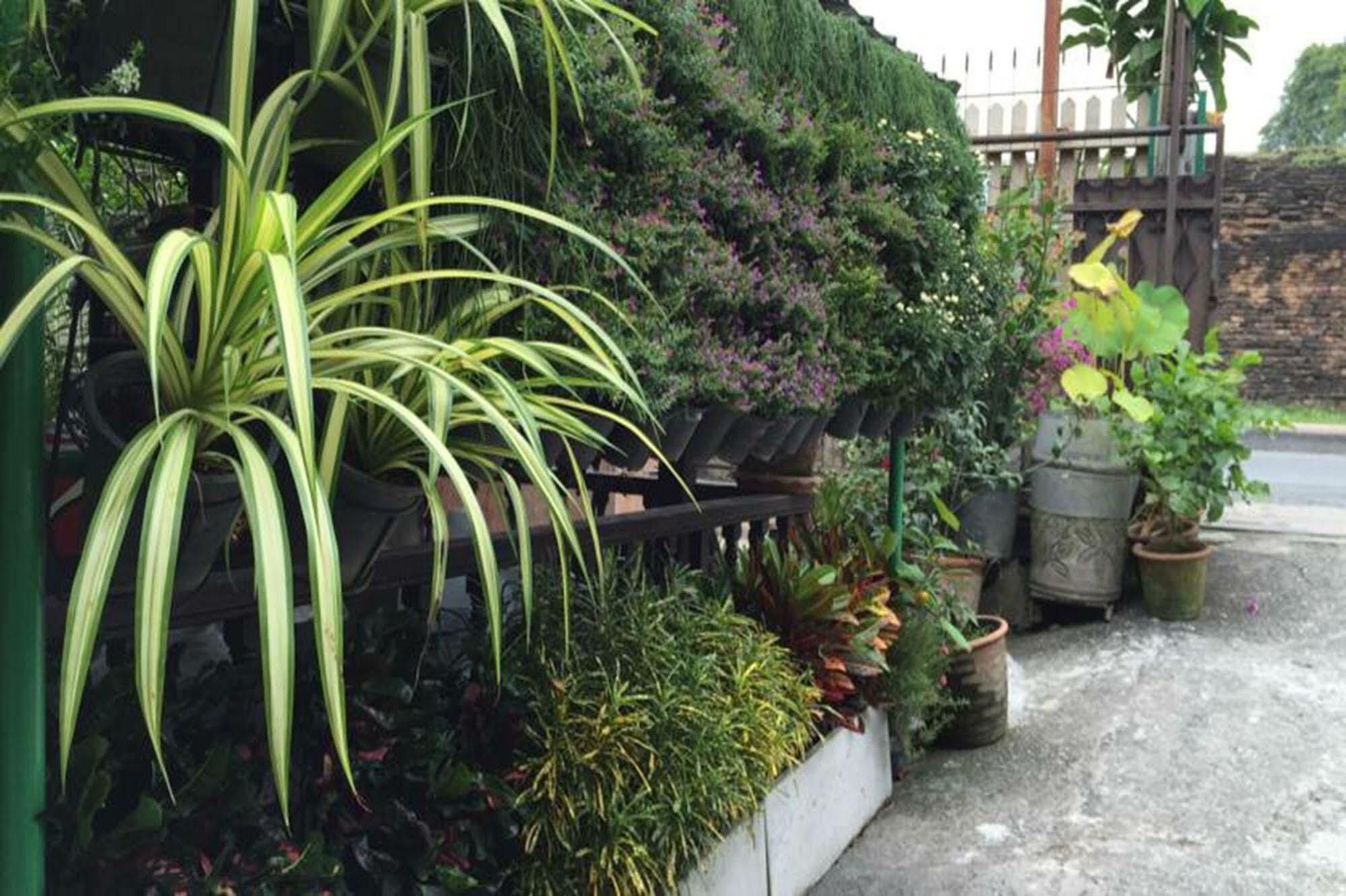 Siriwan Guesthouse Chiang Mai Zewnętrze zdjęcie